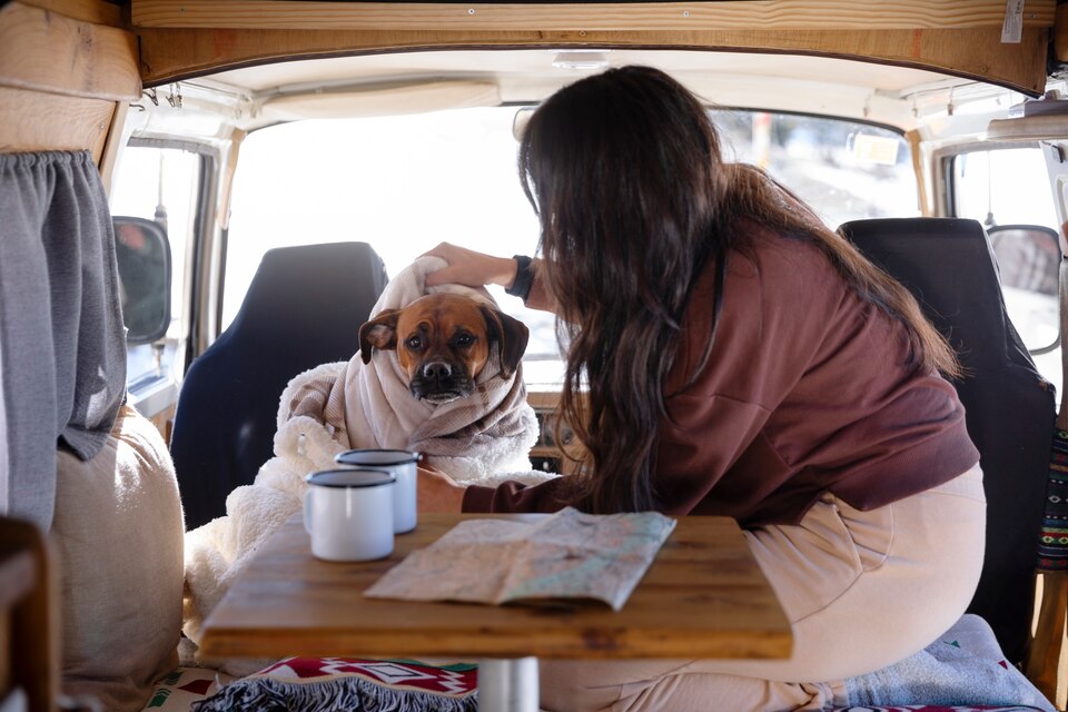 [freepicdownloader.com]-donna-che-accarezza-il-suo-pugile-in-un-camper-durante-il-viaggio-invernale-large
